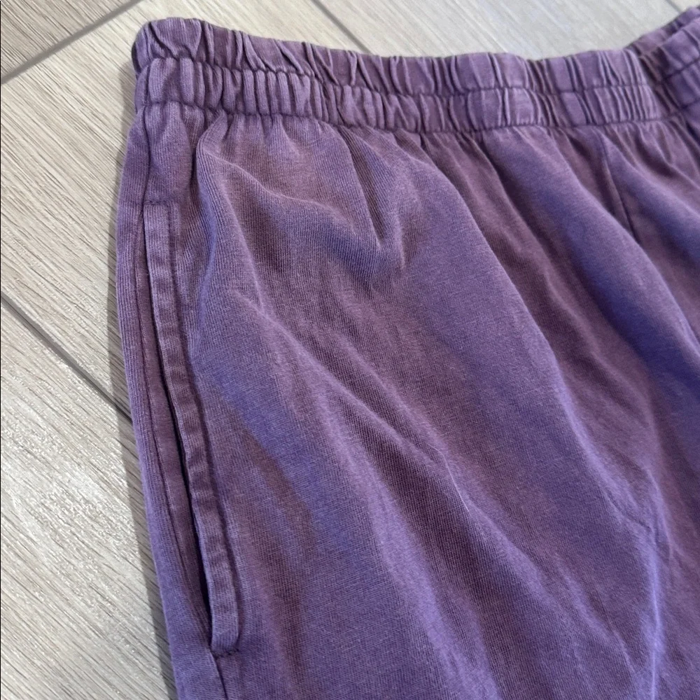 Z Supply Scout Wide Leg Pants in Plum - Picture 4 of 9